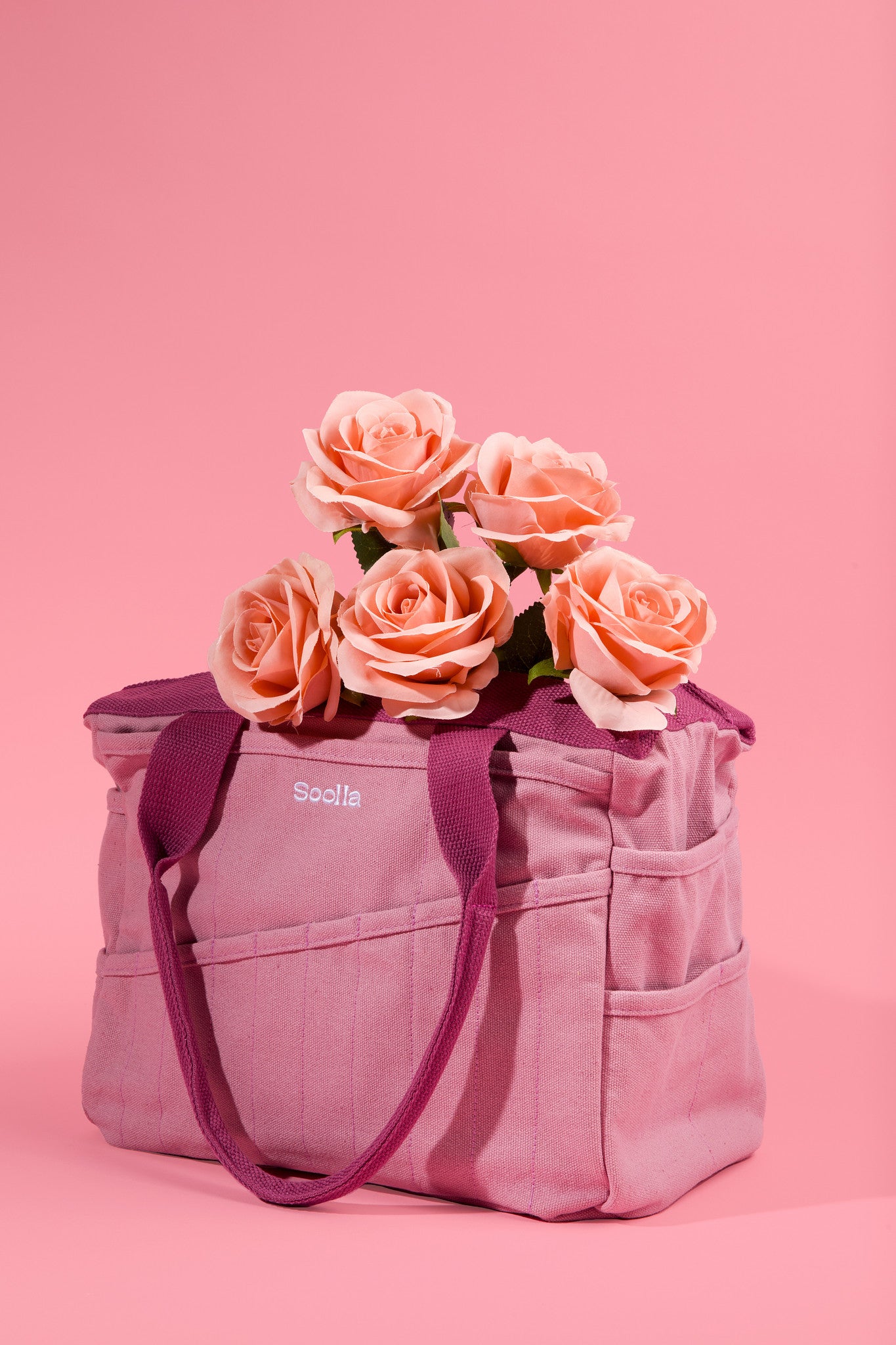 Soolla Studio Artist Project Bag -Desert Rose