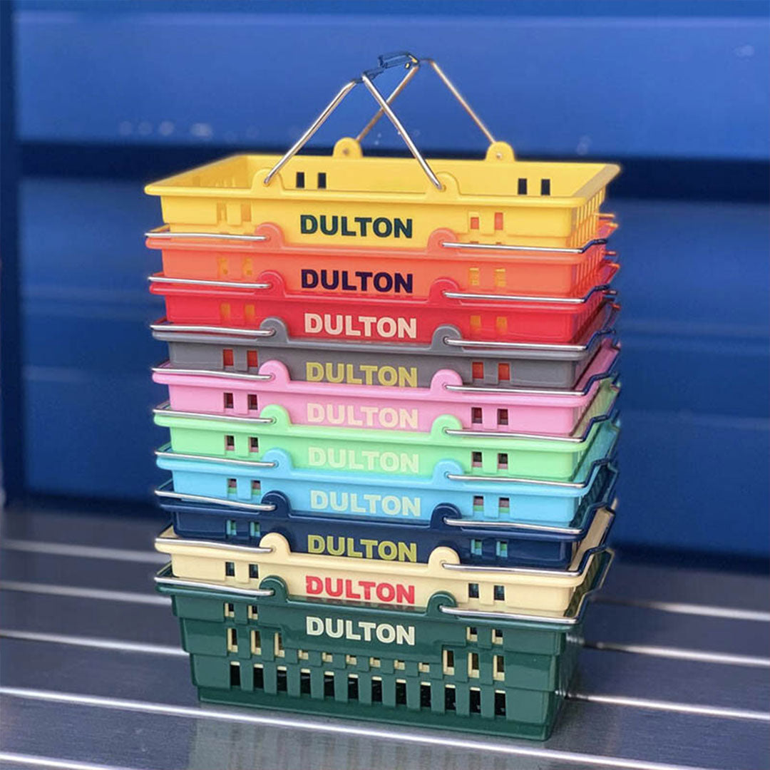 Dulton Mini Shopping Basket Organizer