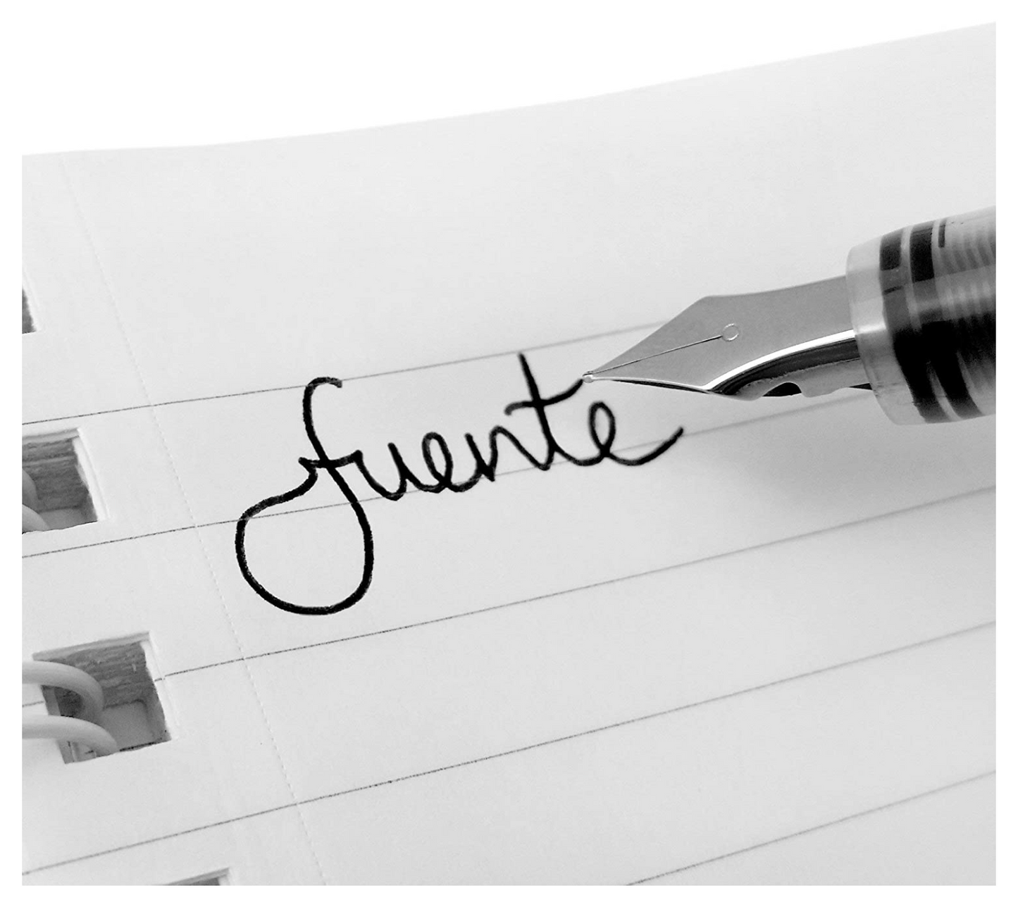 Zebra Fountain Pen