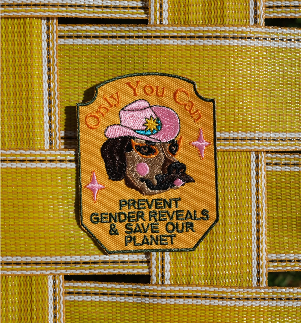 Only You Can Prevent Gender Reveals Patch