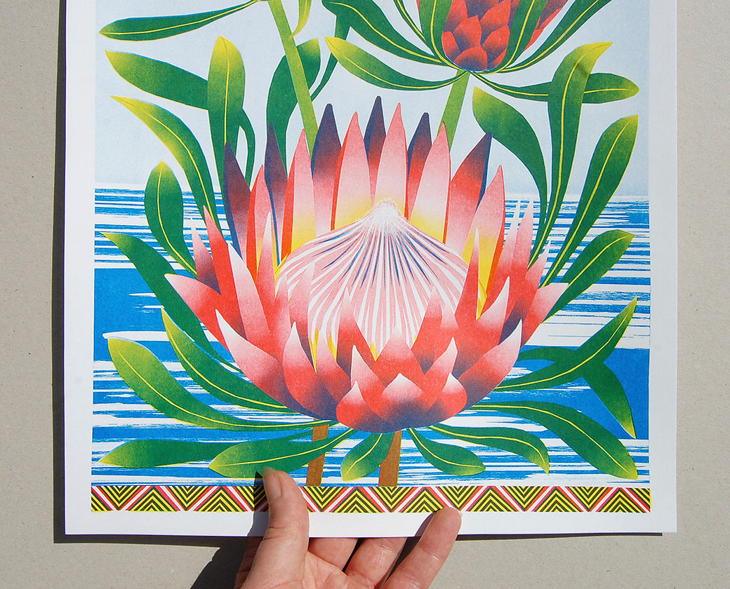 Protea A3 Risograph - Vicki Johnson