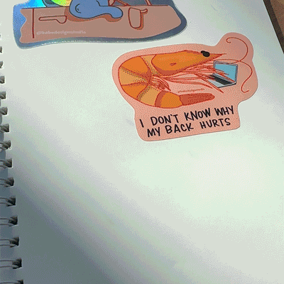 Collection Reusable Sticker Book