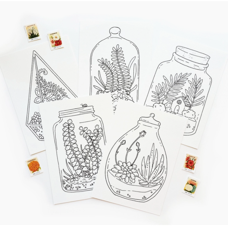 Coloring Postcard Terrerium Collection