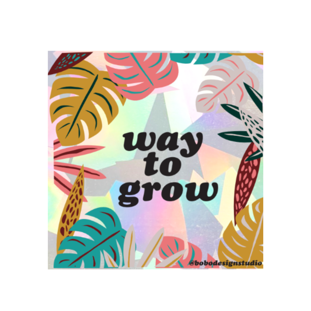 way to grow sun catcher with leaves boarding the edge
