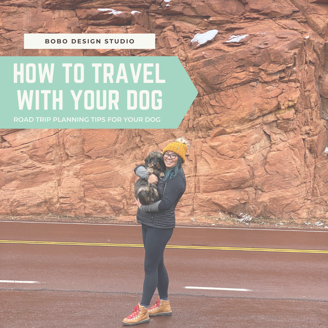 How To Travel With Your Dog