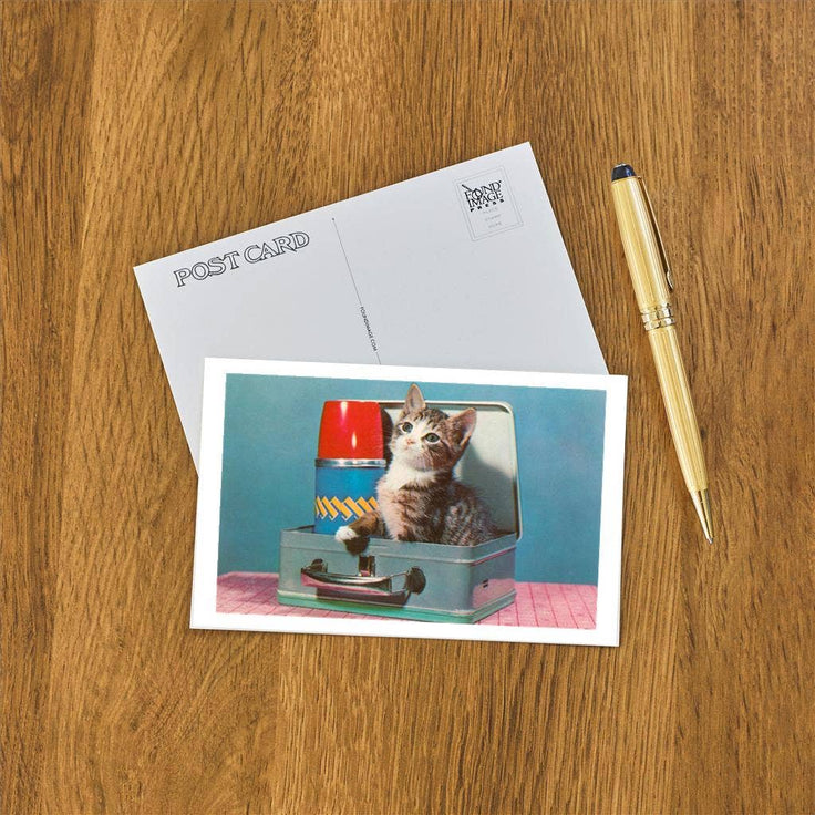 Vintage Kitten in a Lunchbox Postcard