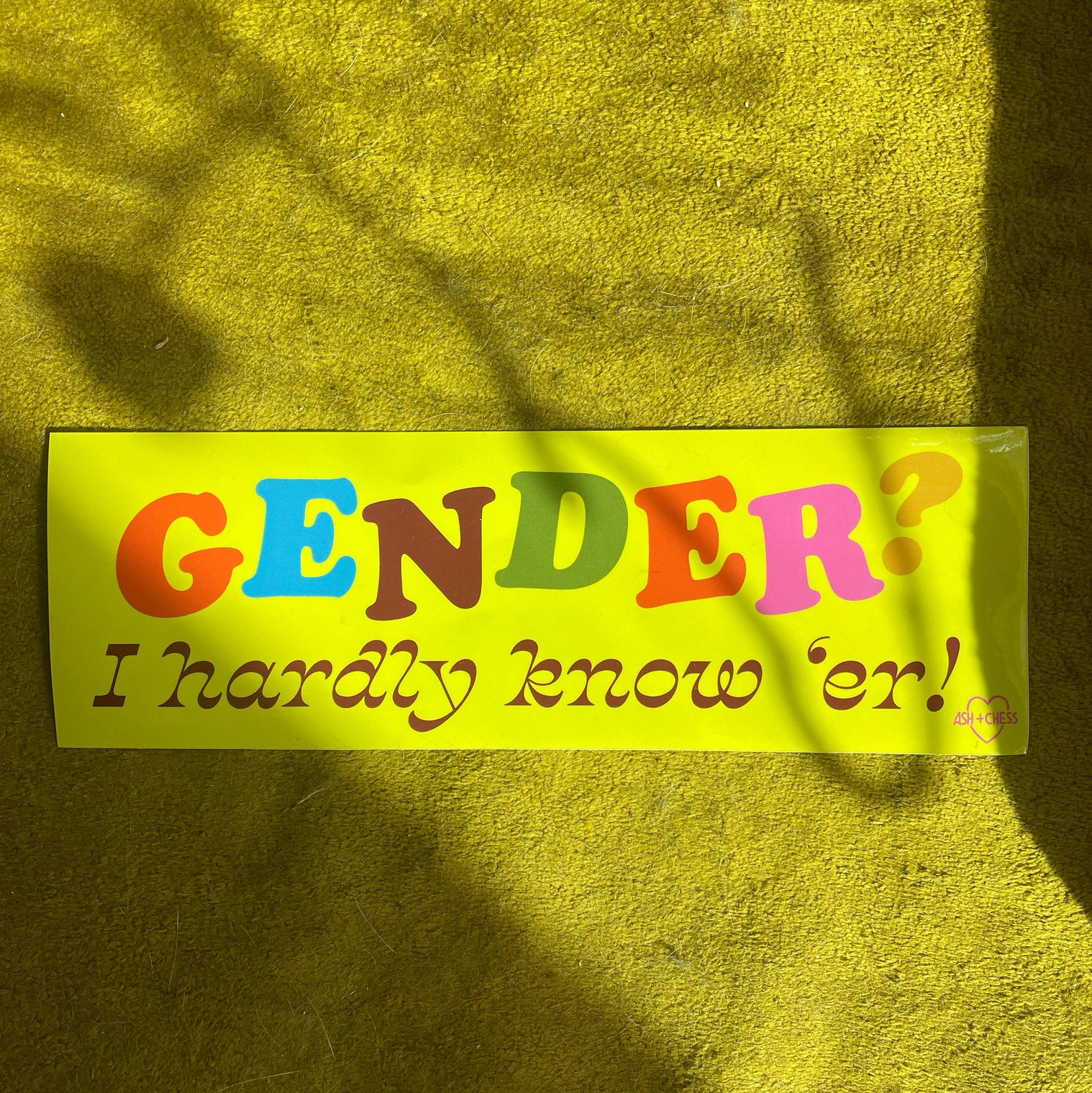 Bumper Sticker - Gender? I Hardly Know 'er