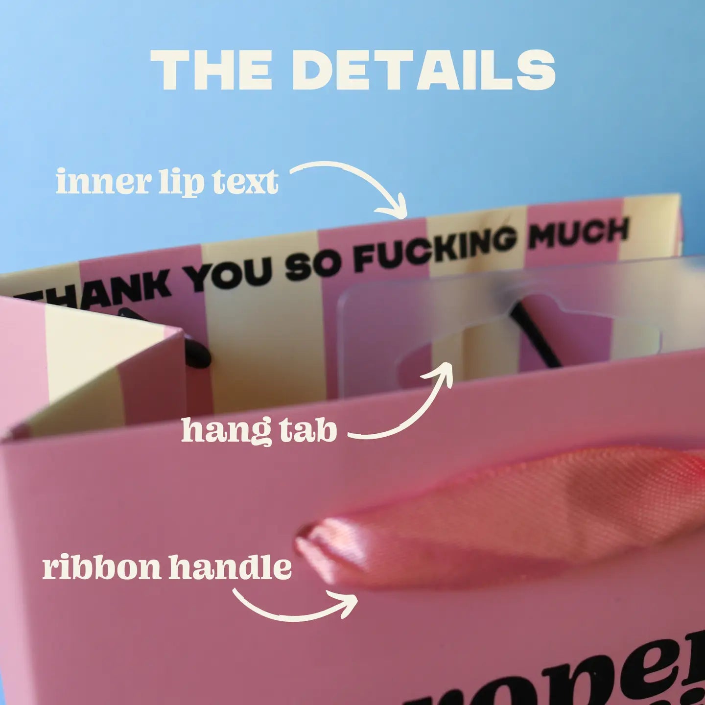 Silly Little Birthday Gift Bag