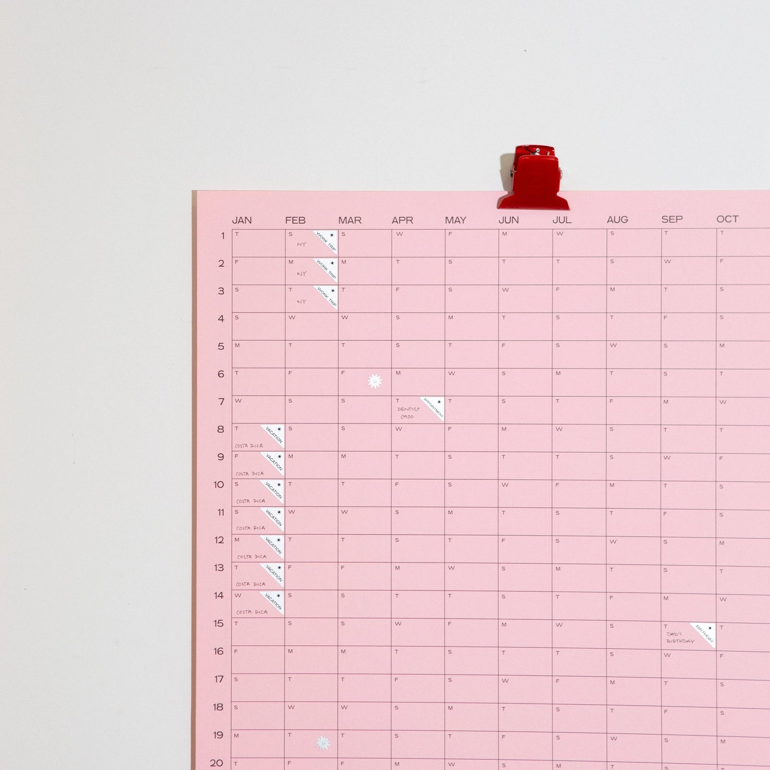 2026 Yearly Wall Calendar | Pink