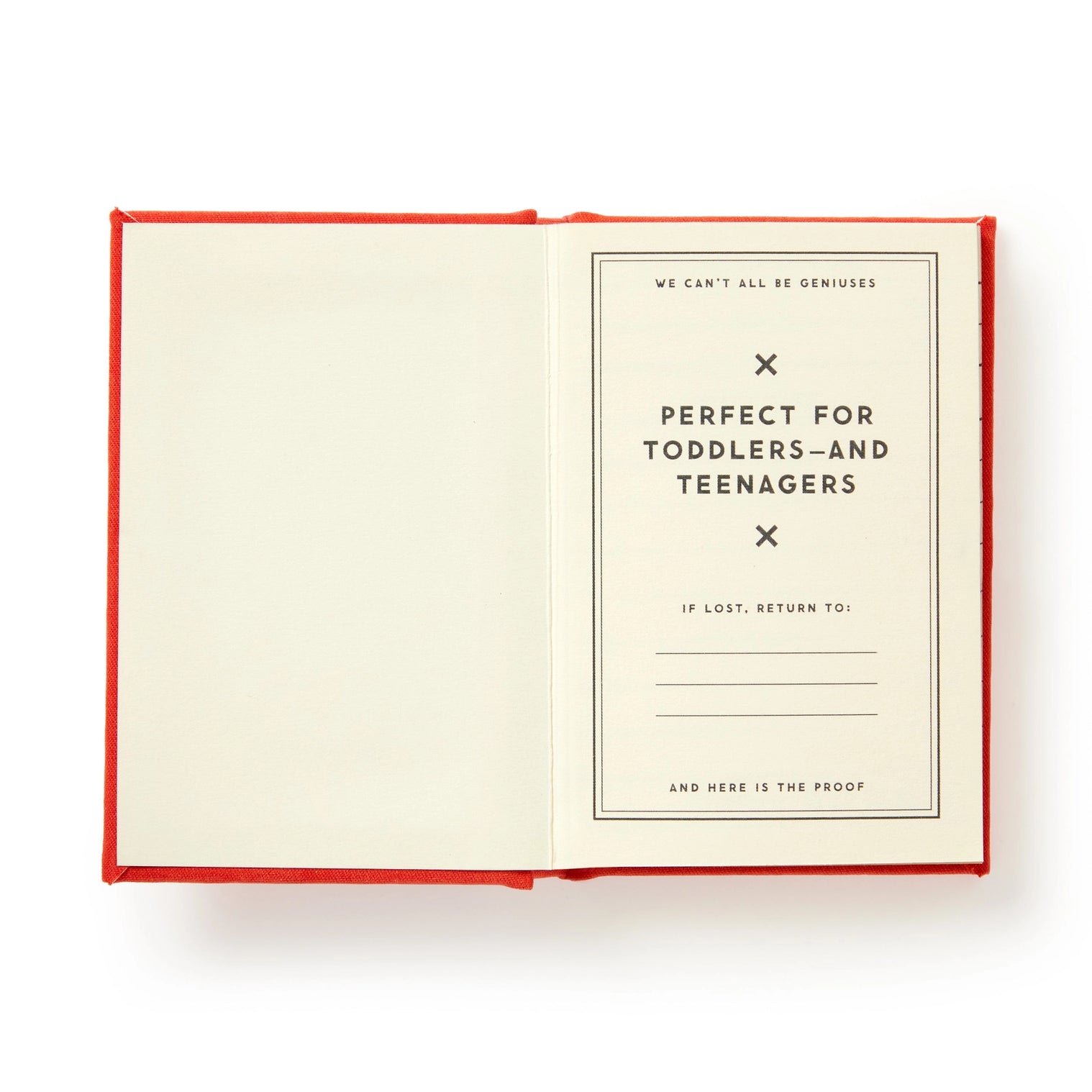 Dumb Things My Kids Say -Tiny Diary