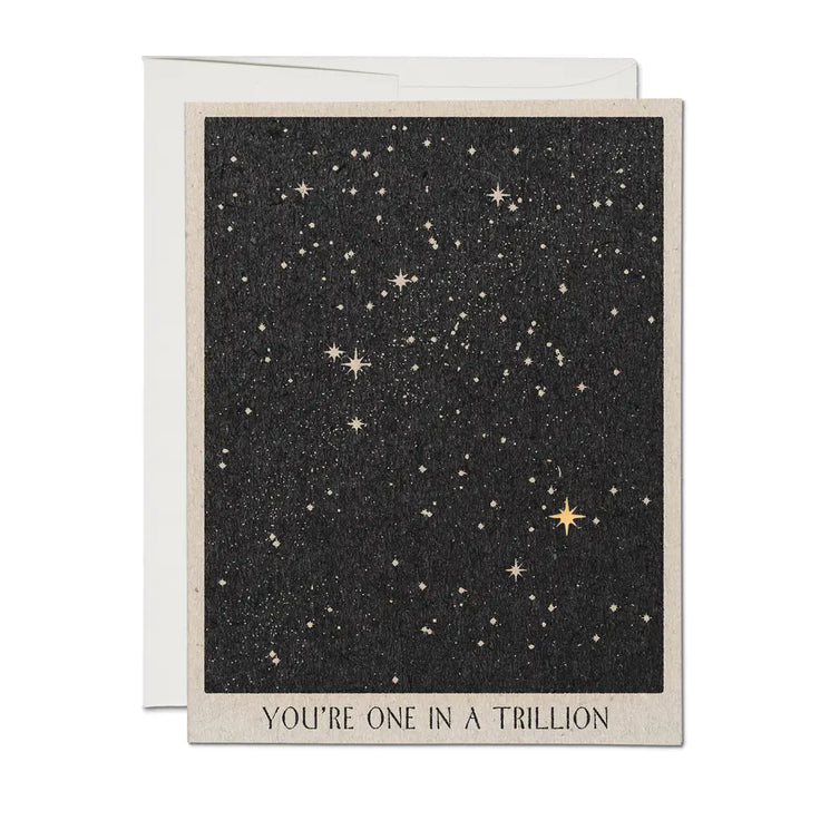 One in A Trillion Friendship Greeting Card