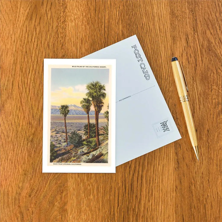 Wild Palms of Palm Springs Postcard