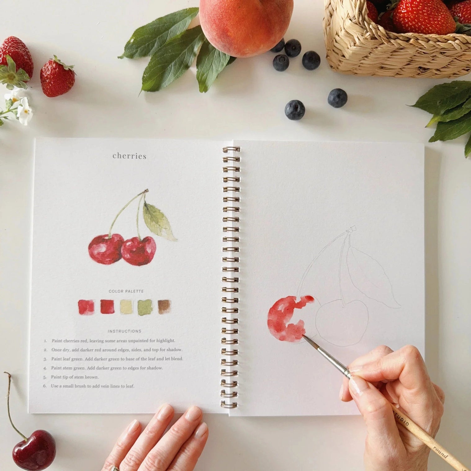 Fruit - Watercolor Workbook - Emily Lex Studio
