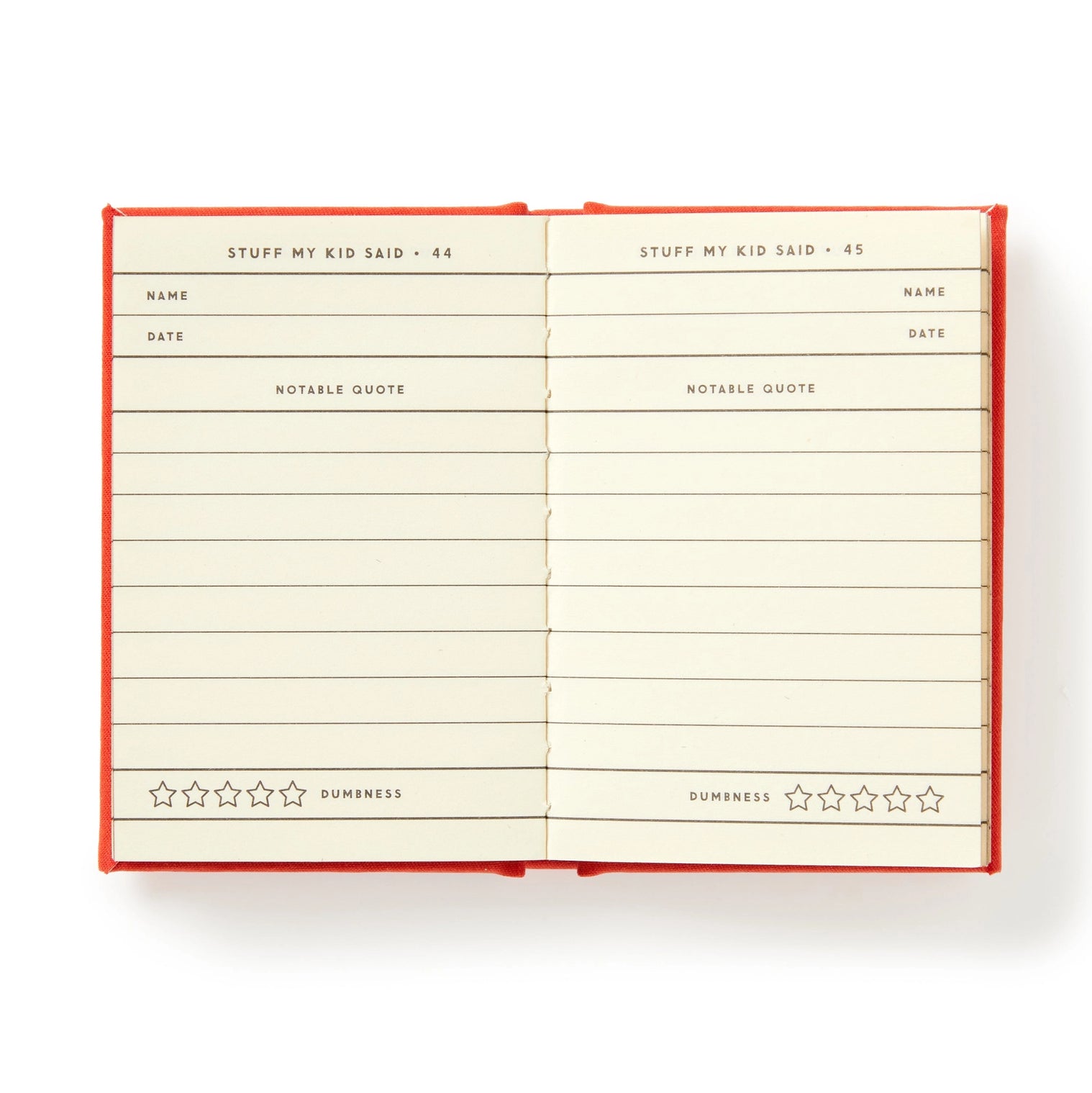 Dumb Things My Kids Say -Tiny Diary