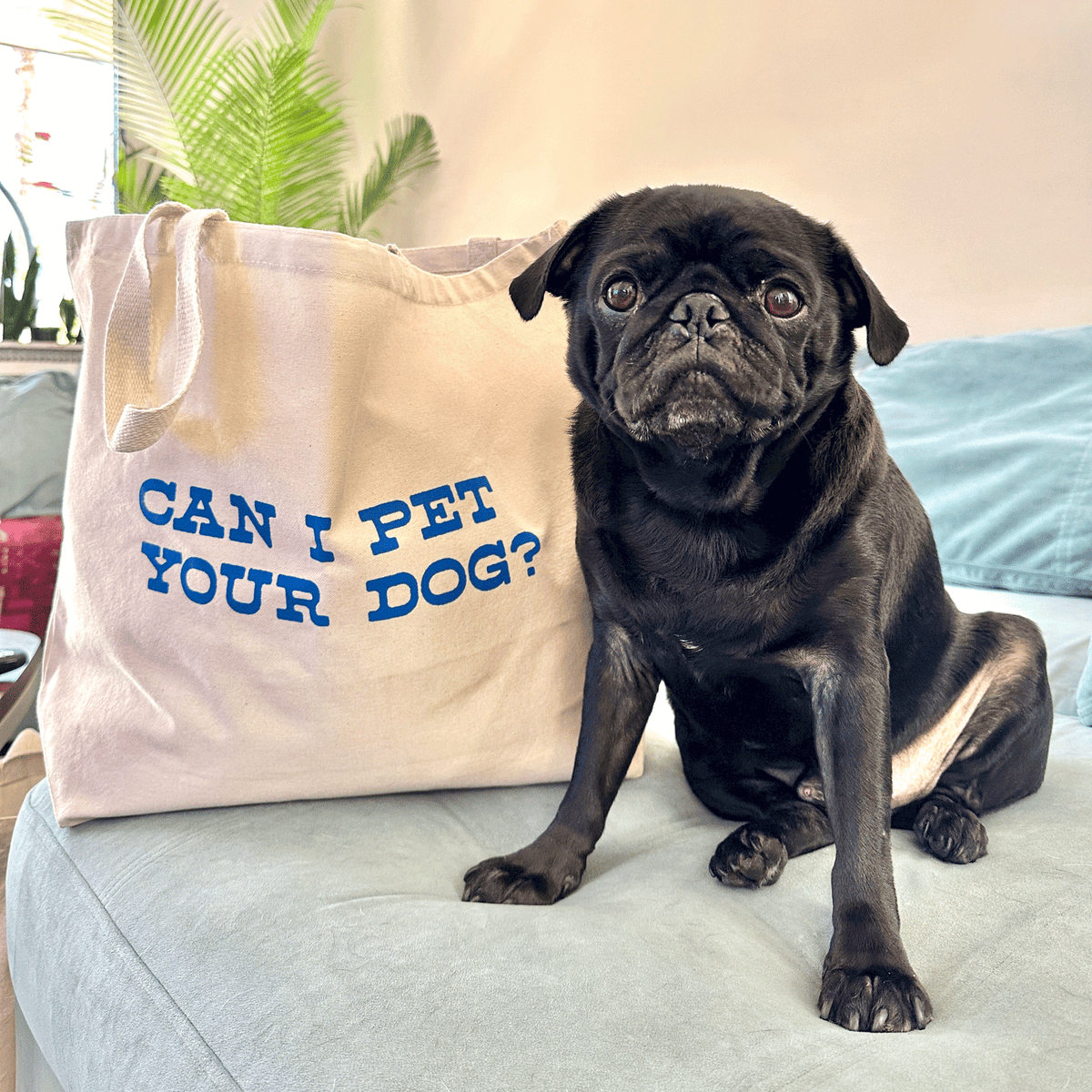 Can I Pet Your Dog? Tote