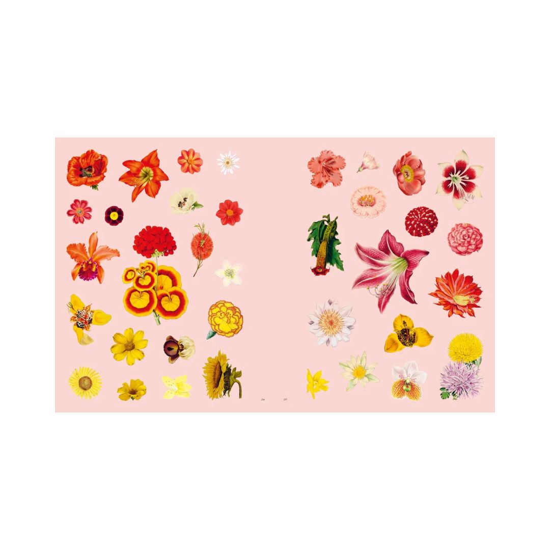 Extraordinary Things - Sticker Book - Maria Rivan