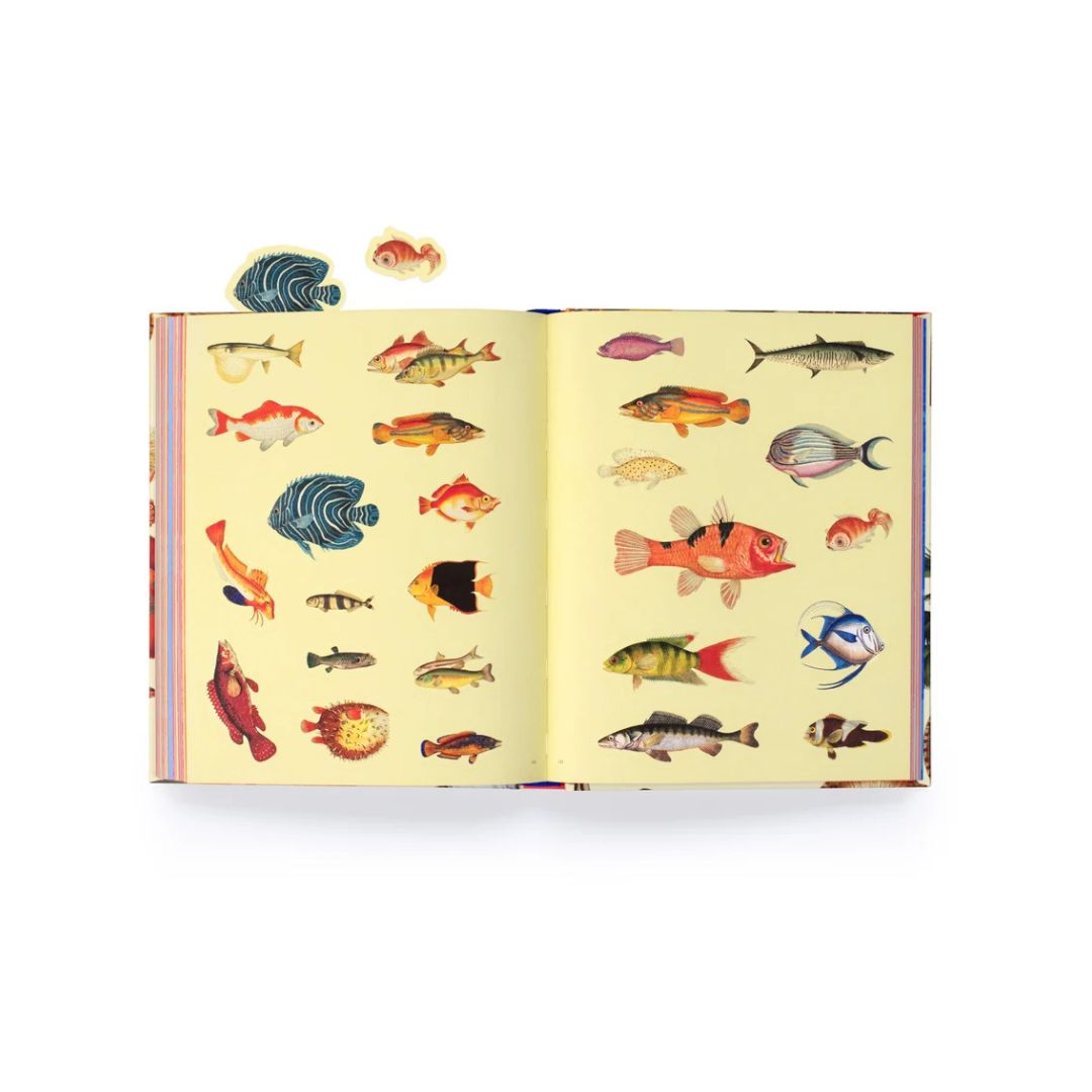 Extraordinary Things - Sticker Book - Maria Rivan