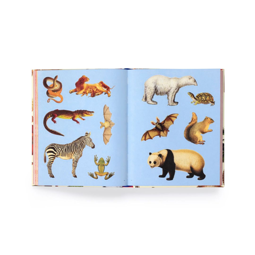 Extraordinary Things - Sticker Book - Maria Rivan