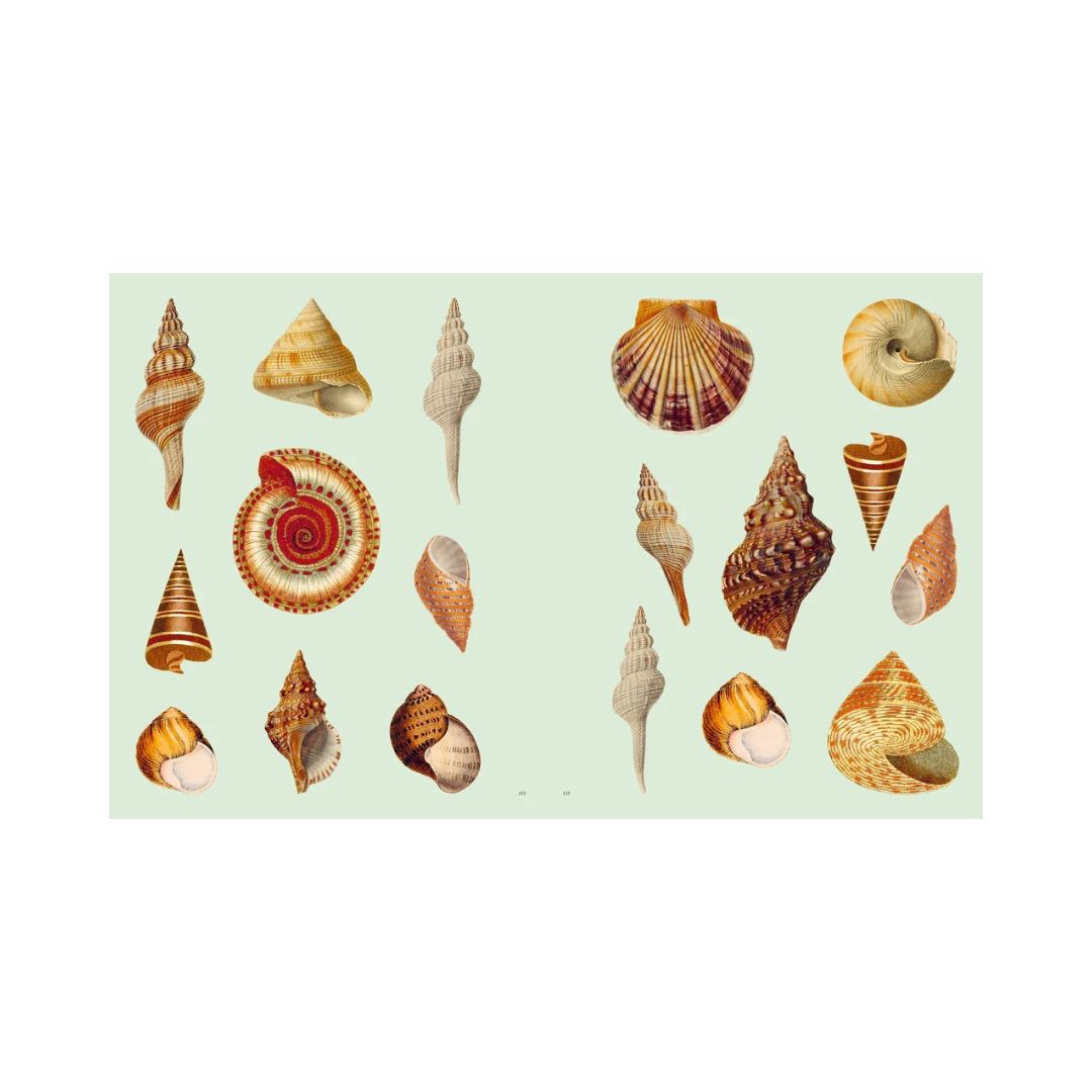 Extraordinary Things - Sticker Book - Maria Rivan