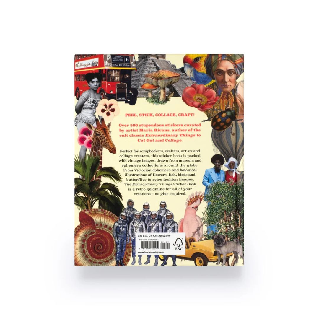 Extraordinary Things - Sticker Book - Maria Rivan