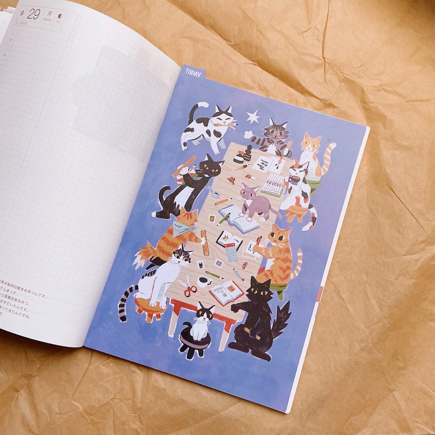 Stationery Cats Pencil Board - A5