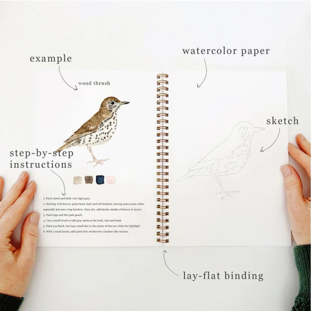 Birds - Watercolor Workbook - Emily Lex Studio
