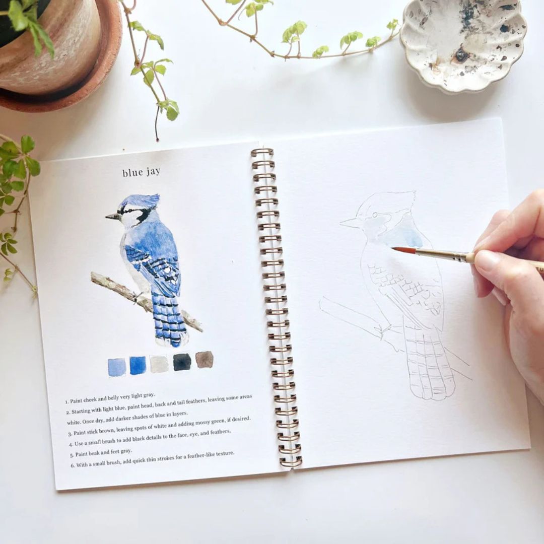 Birds - Watercolor Workbook - Emily Lex Studio