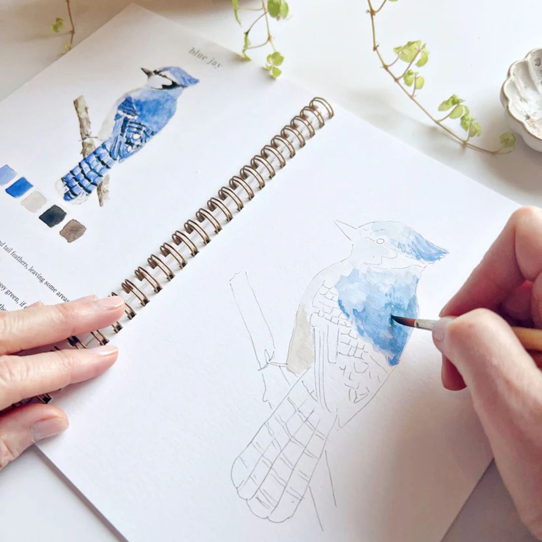 Birds - Watercolor Workbook - Emily Lex Studio