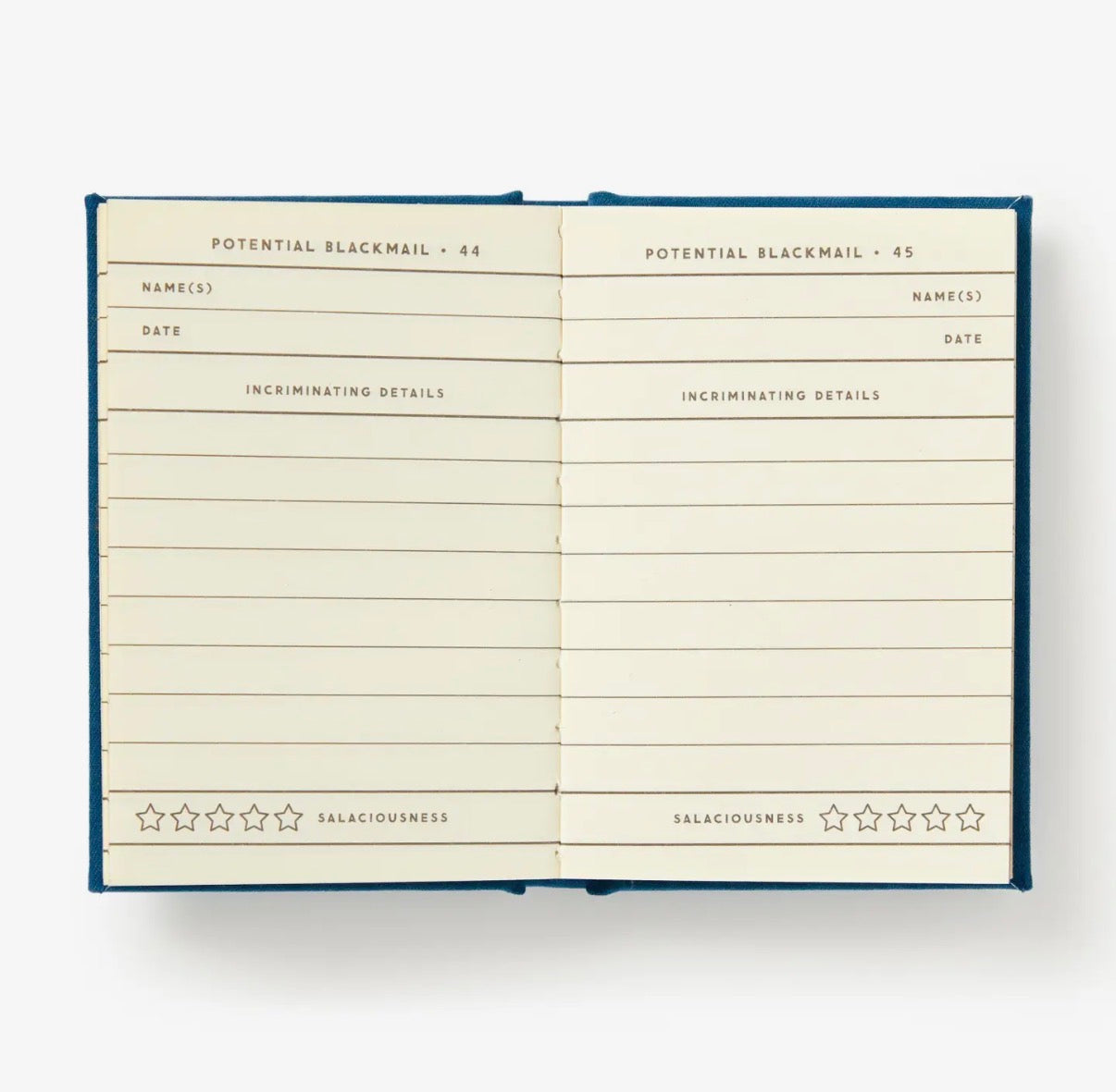 Future Blackmail Tiny Diary