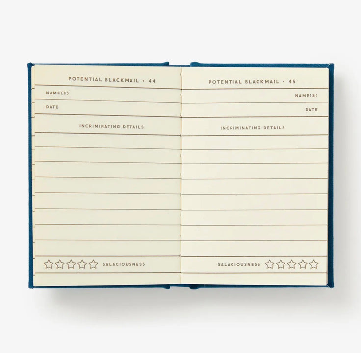 Future Blackmail Tiny Diary