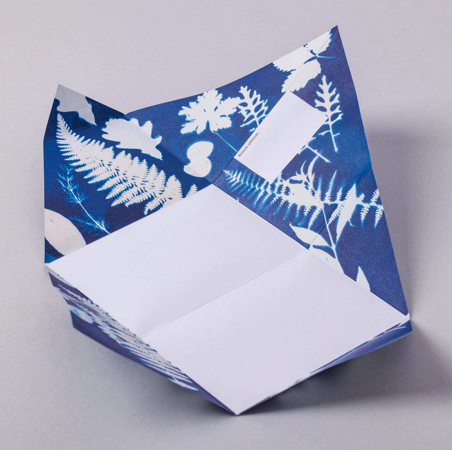 Apothecary Pigeon, Botanical Folding Letter Set - Pack of 6