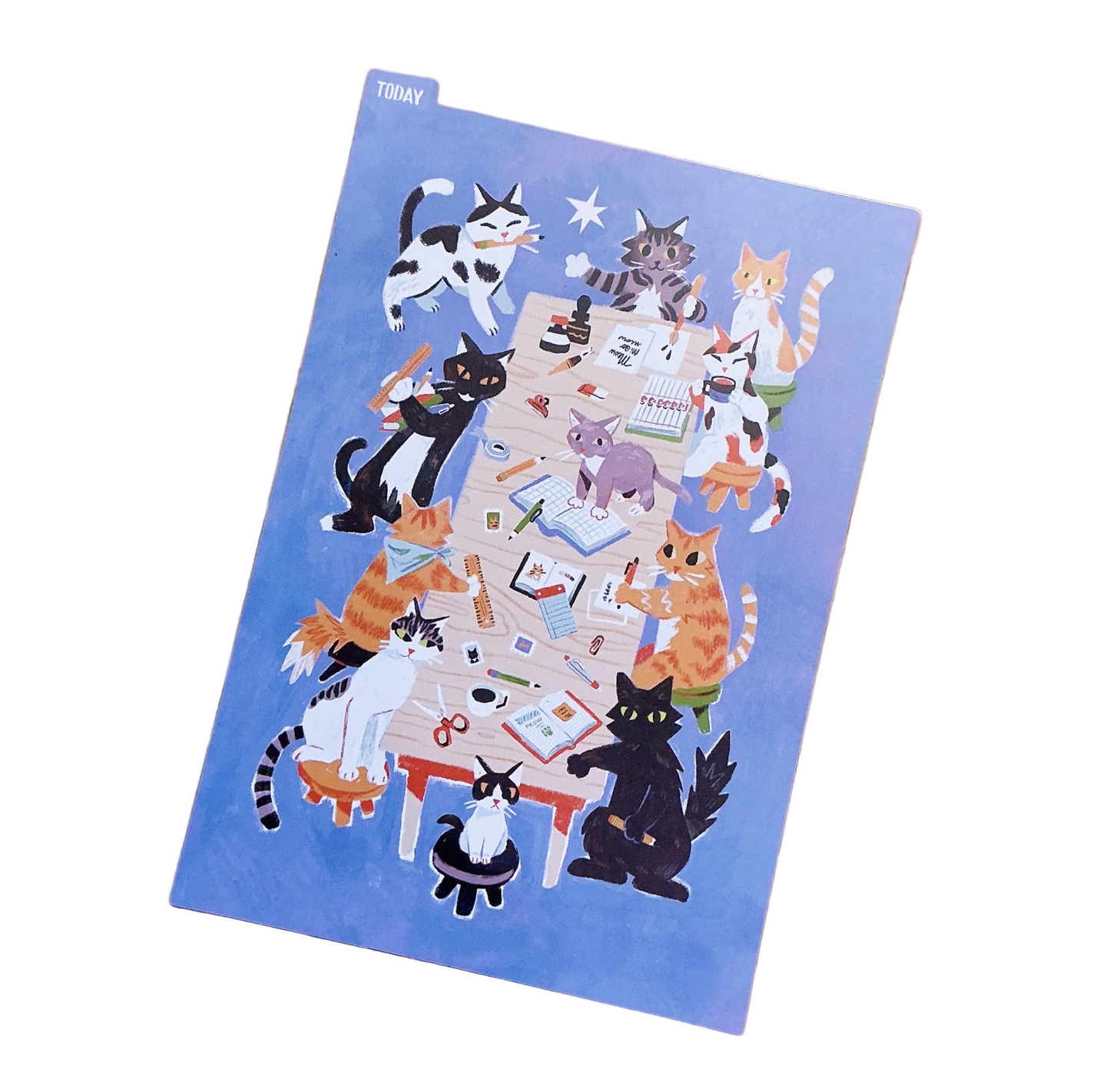 Stationery Cats Pencil Board - A5