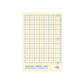 TRAVELER'S Notebook Plastic Insert- Passport