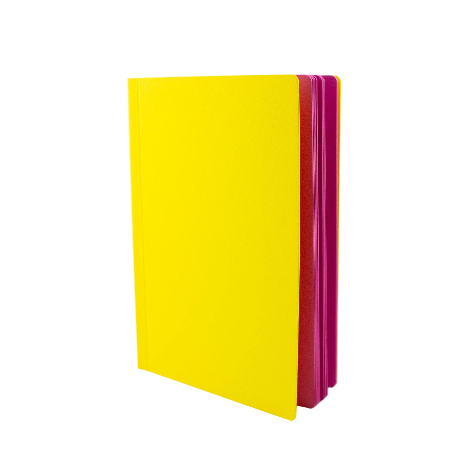 Uglybooks No.1 -Assorted Colors