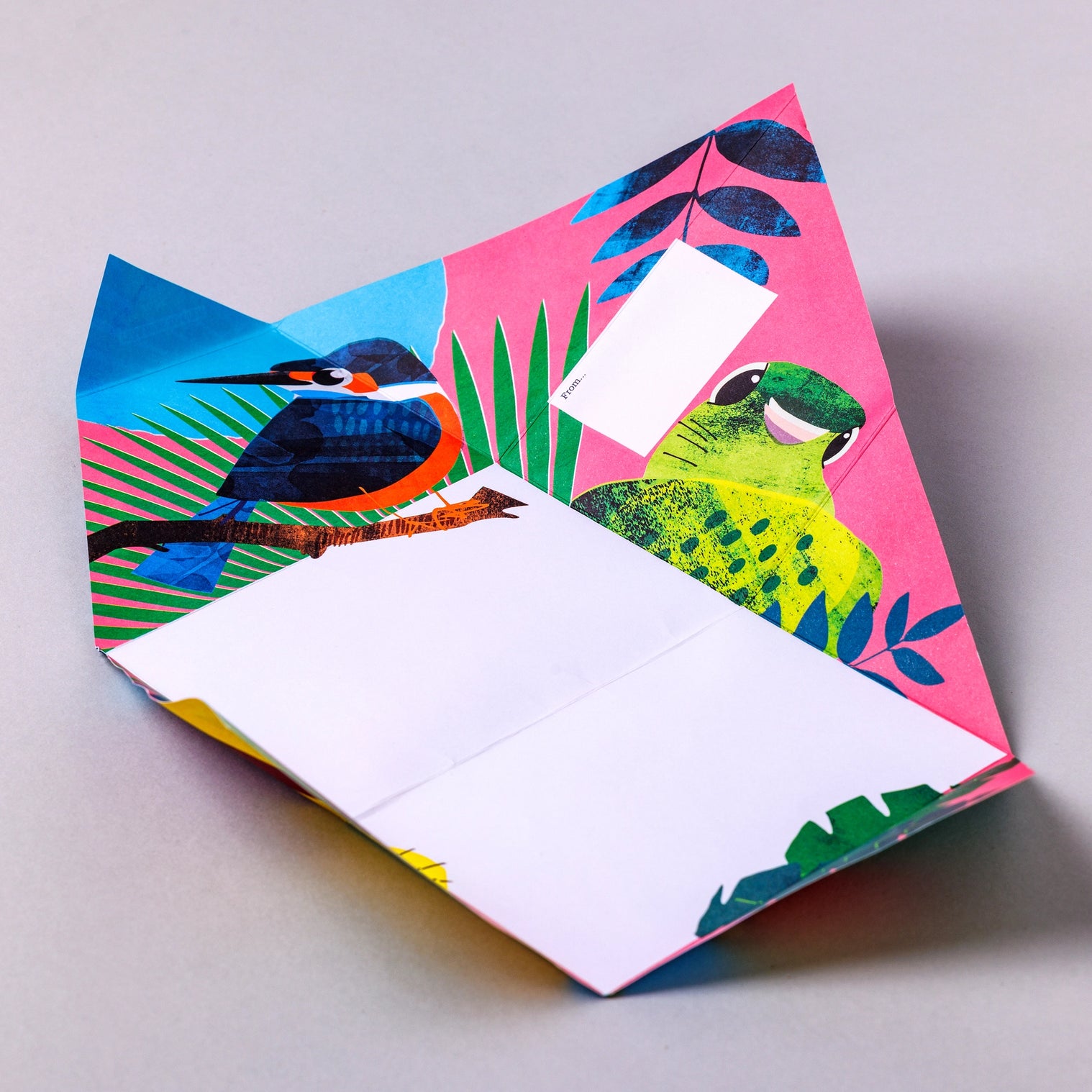 Wild Lives Pigeon, Kid's Folding Letter Set – Pack of 6