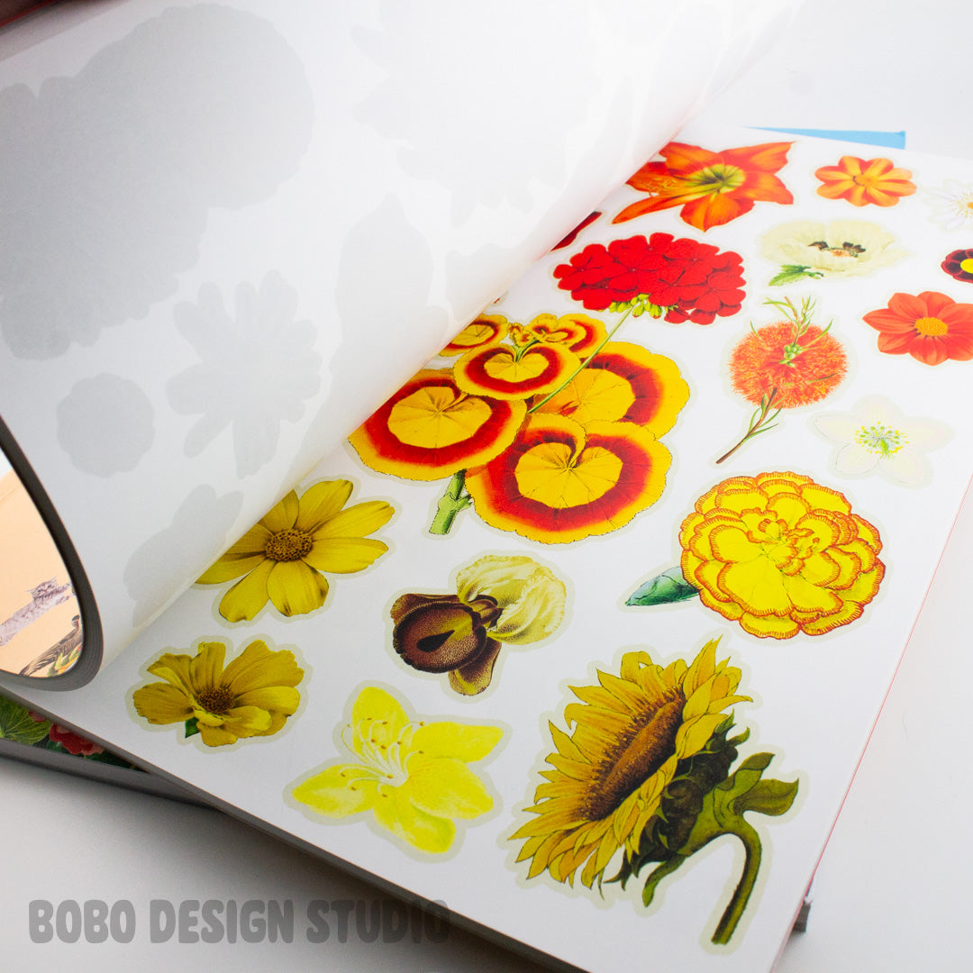 Extraordinary Things To Cut Out and Collage