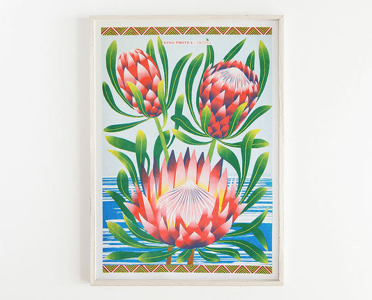 Protea A3 Risograph - Vicki Johnson