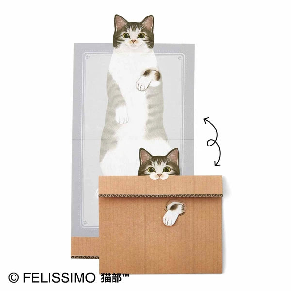Folding Cat in a Box Memo Pad