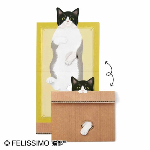 Folding Cat in a Box Memo Pad